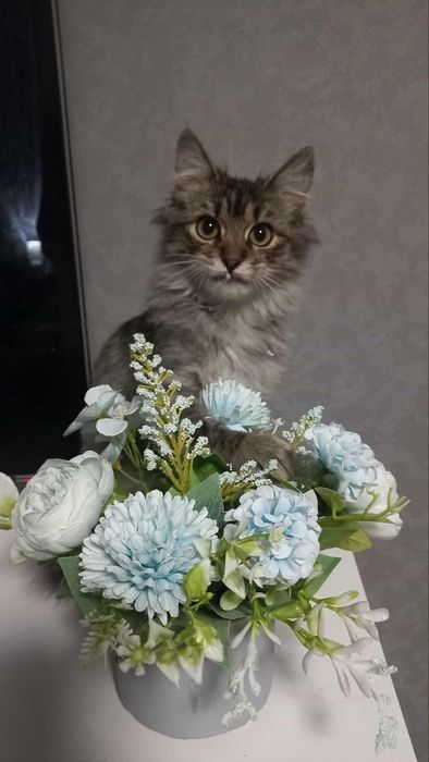 Дівчинка підліток в хороші руки