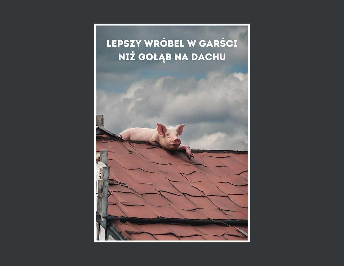 Plakat premium - świnia na dachu