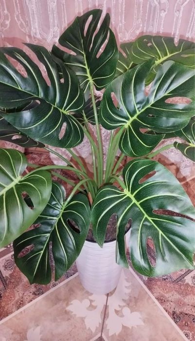 Искусственная монстера латекс, штучна латексная