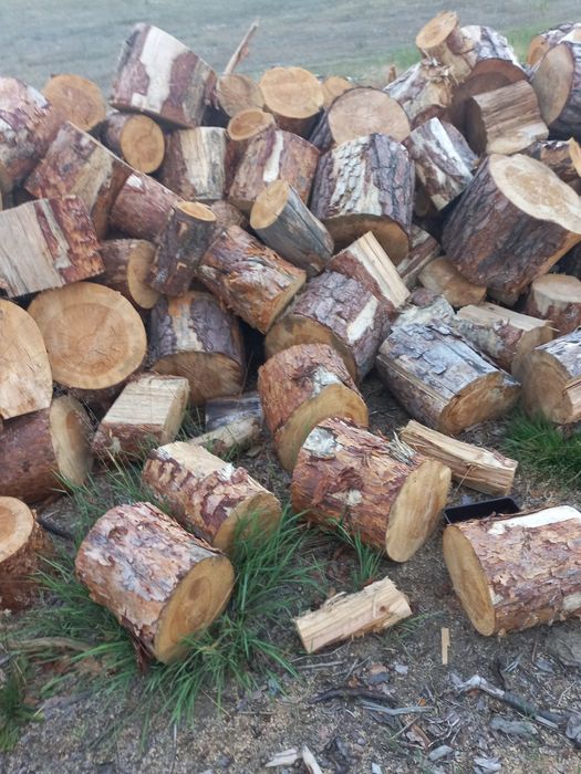 Drewno opałowe  sosna