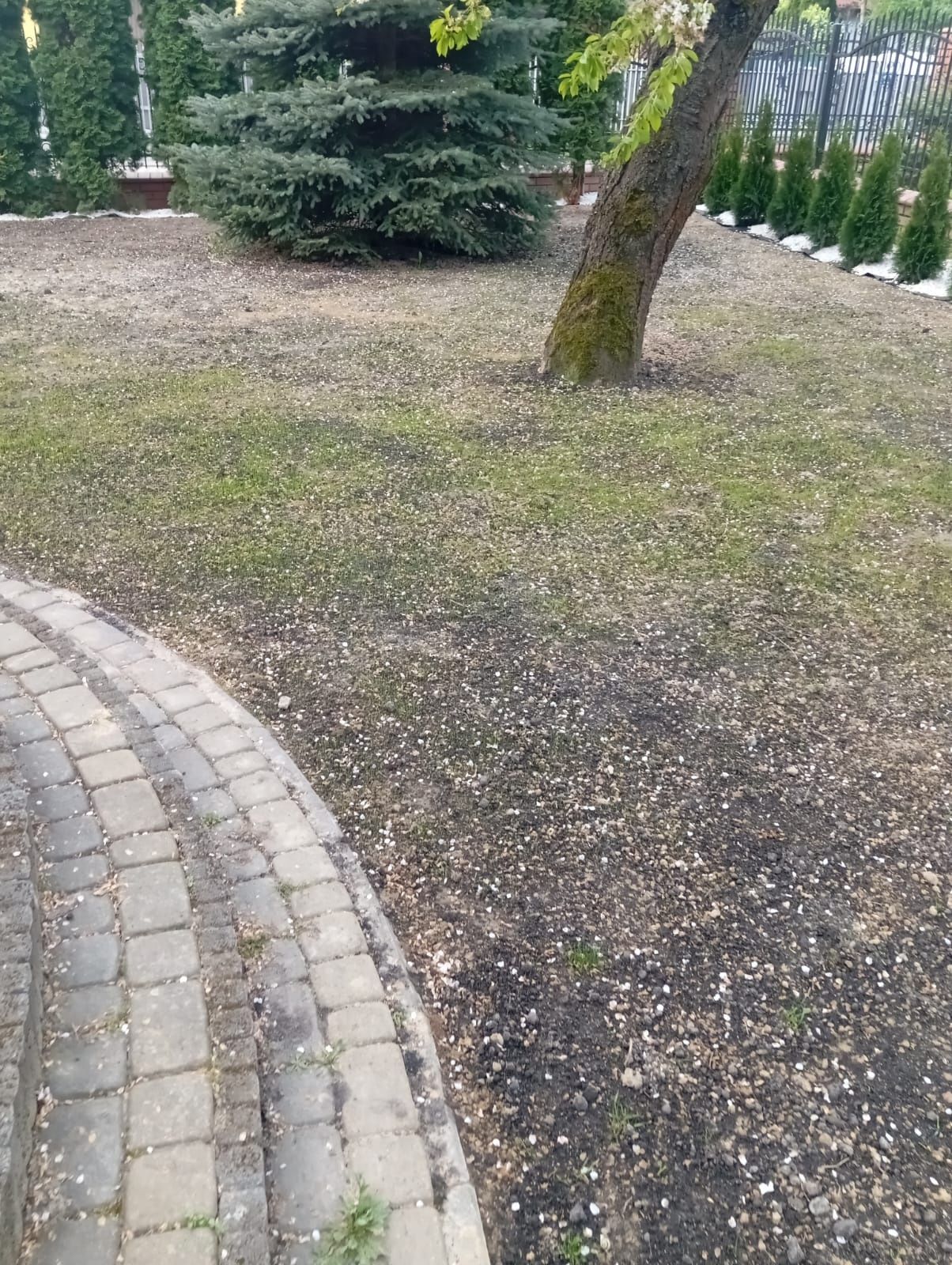 Glebogryzarka separacyjna,zakladanie trawników, Koszenie terenów, rodo