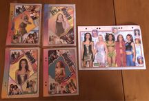 Karteczki kolejcjonerskie Spice Girls