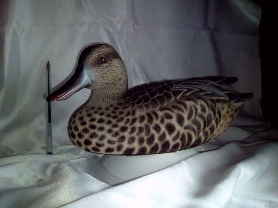 Patos artísticos Jules Bouillet