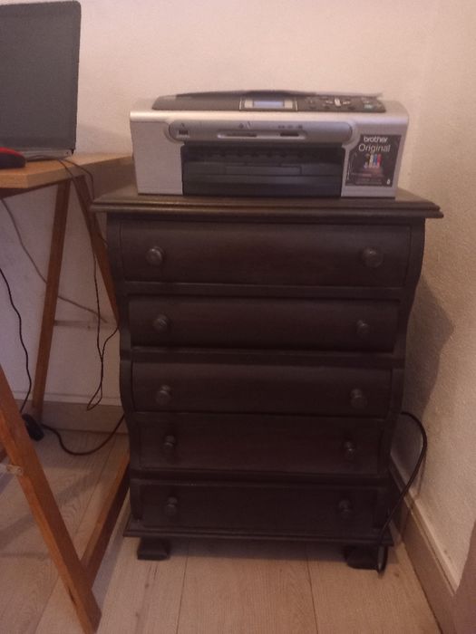 Camiseiro castanho sec XVII