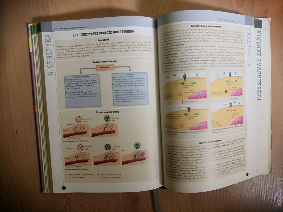 Matura Biologia Vademecum 2012 J. Balerstet Operon