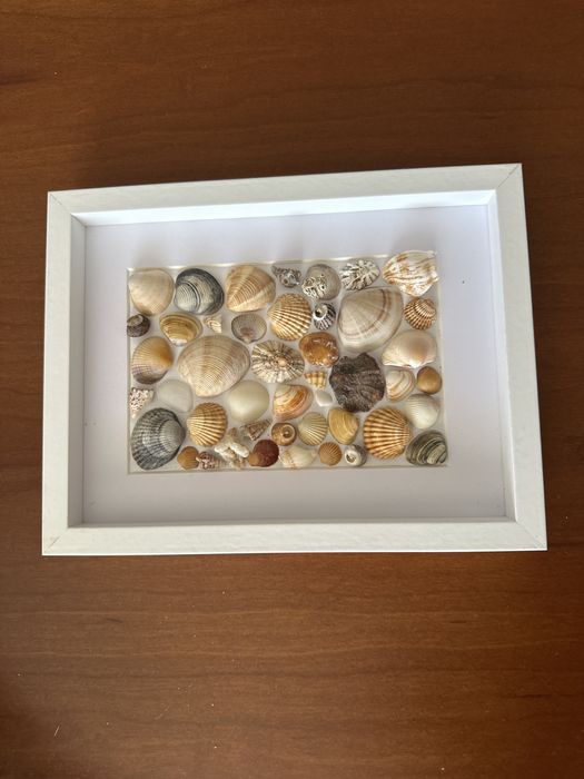 quadro decorativo feito à mão com materiais marinhos