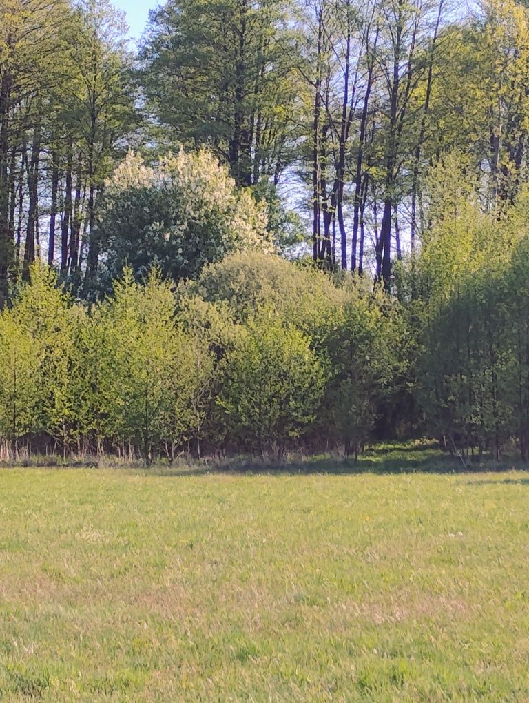 Sprzedam działkę