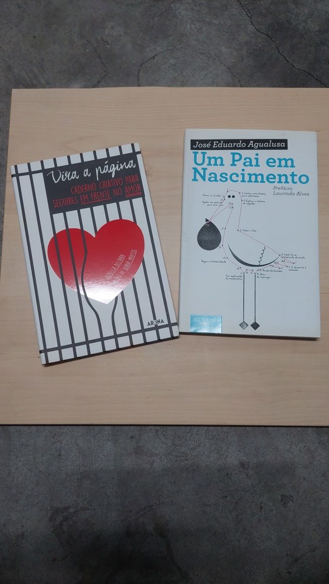 Livros auto ajuda (vários) Agualusa, Sílvia Zucca