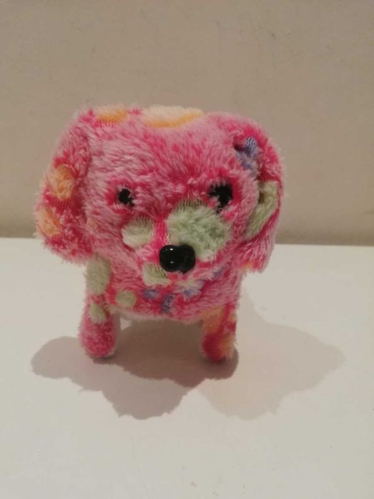 Szczekający piesek.