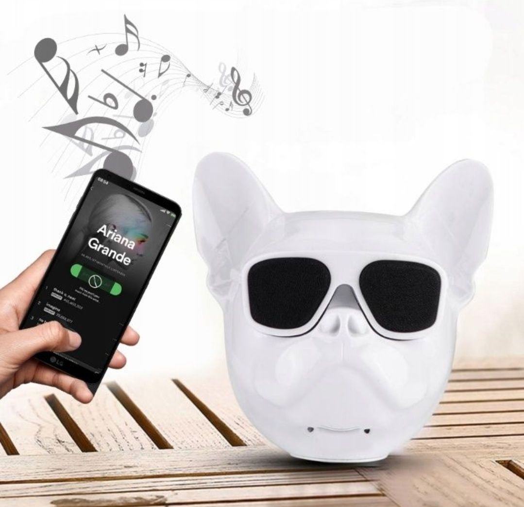 Buldog francuski Głośnik Bluetooth Głowa Psa Buldog AeroBull radio usb
