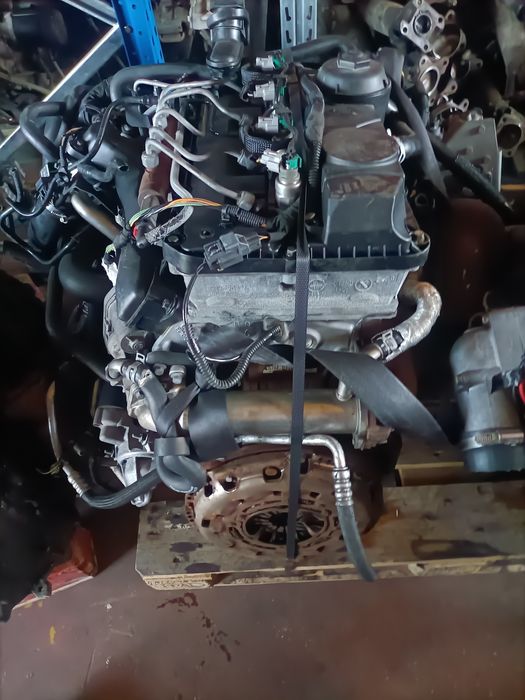 Motor Ford Transit h9 fb
