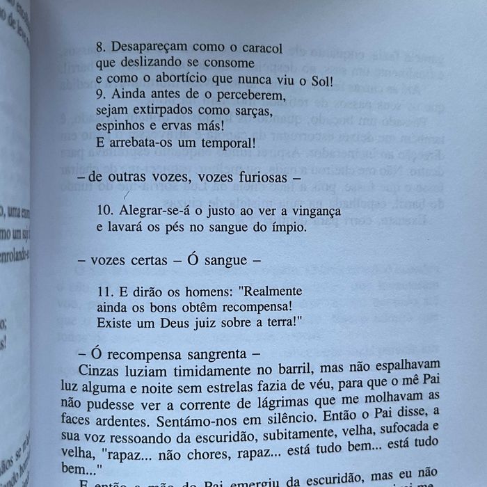 Nick Cave - E o Burro Viu o Anjo...