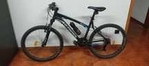 Bicicleta adulto
