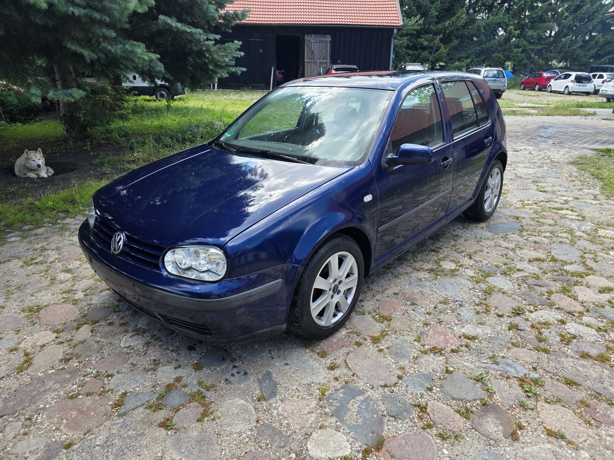 Golf 4 benzyna klima basic