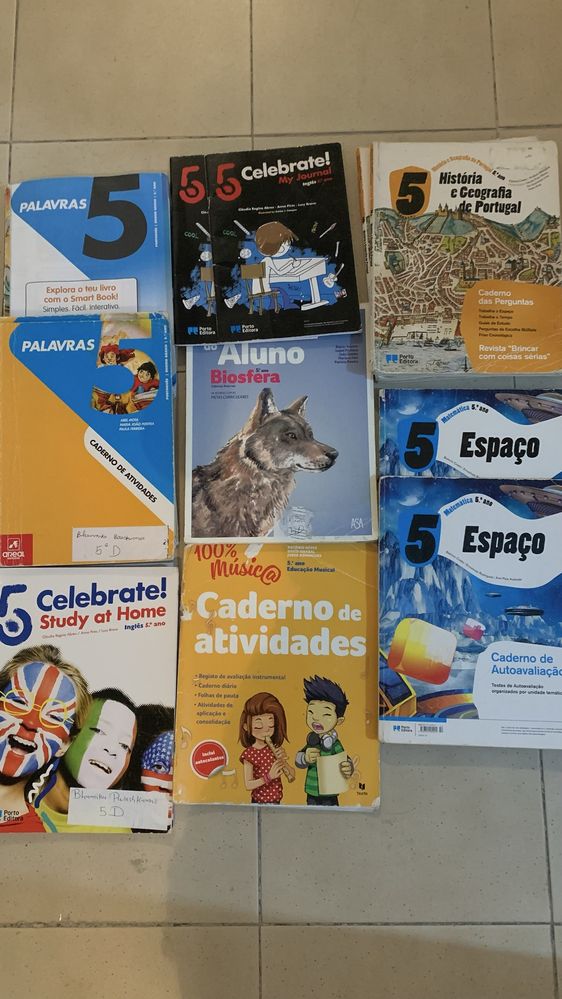 Manuais / Livros e Cadernos de atividade (CA) 5 ano