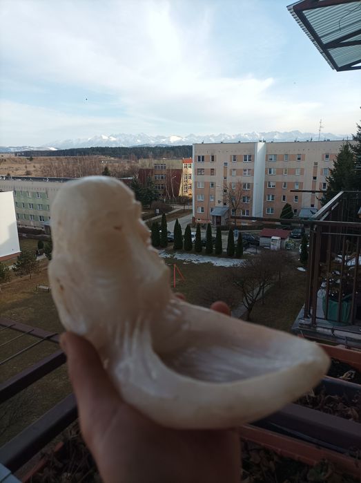 Mydelniczka z kamienia