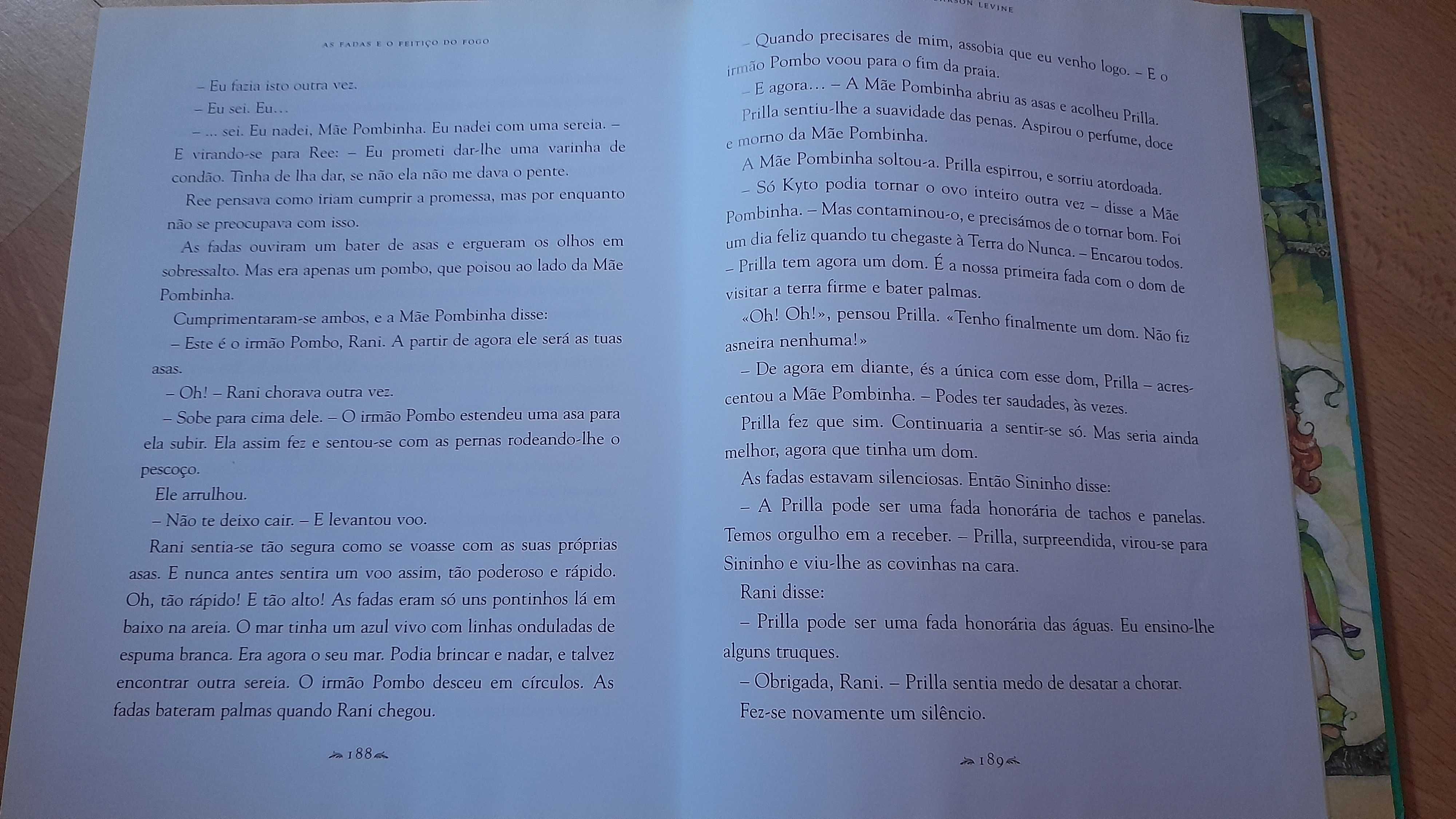 As Fadas e o feitiço do fogo