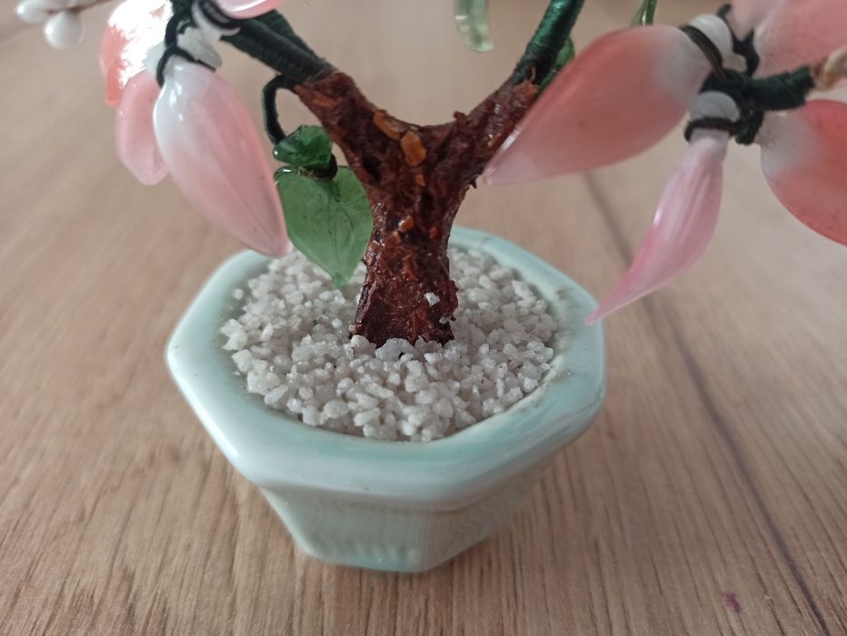 Jadeitowe drzewka bonsai
