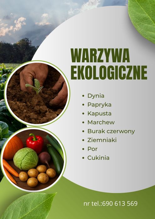 Warzywa ekologiczne kapusta por marchew burak czerwony ziemniaki