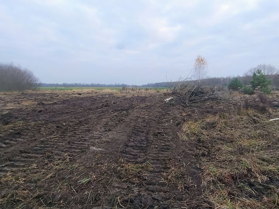 Розчищення полів