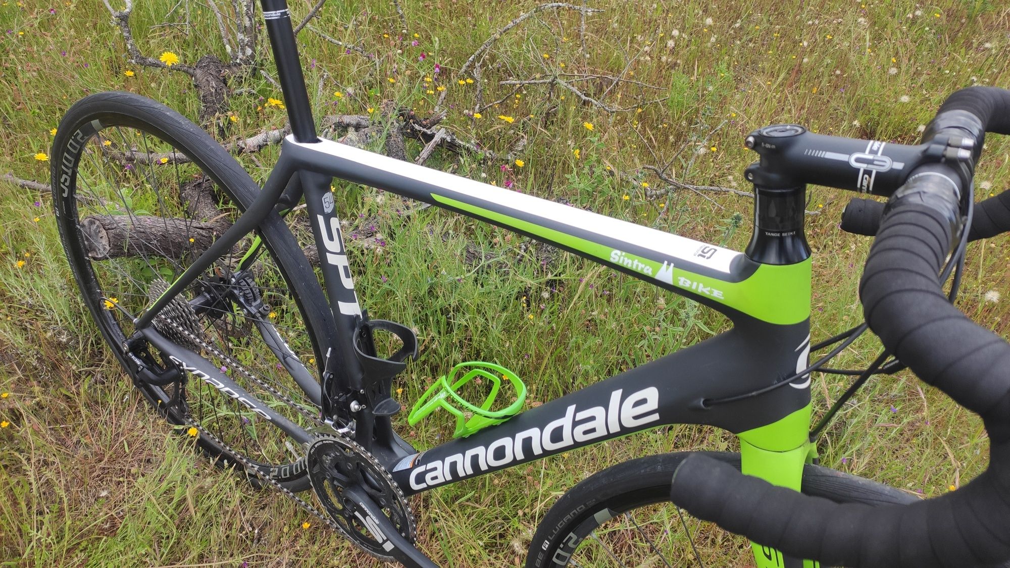 Cannondale Synapse Carbono Disc