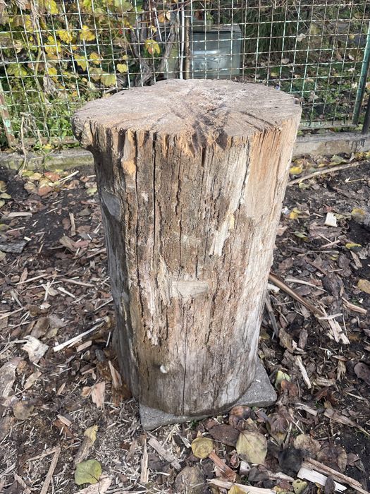 Pieniek do rąbania drewna