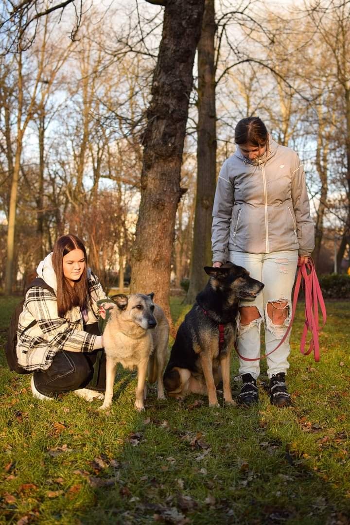 Porzucili Ją i trafiła do schroniska... Czy Ktoś Ją zauważy?