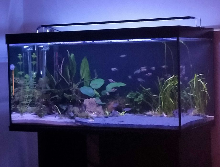 Aquário 120l com móvel e filtro.