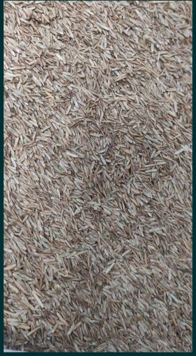 Mieszanka traw na suche Wysyłka