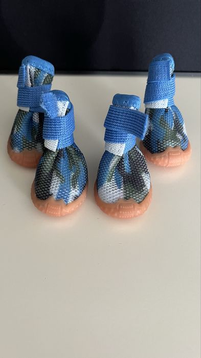 Buciki dla maltańczyka chihuahua