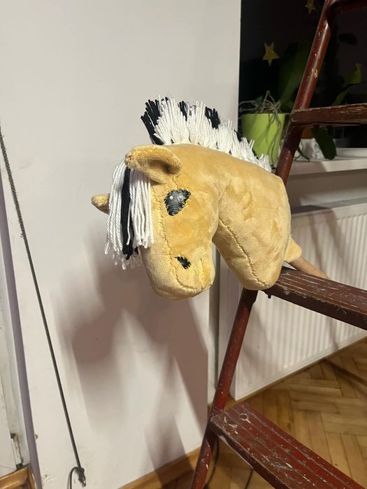 Hobby horse fiord