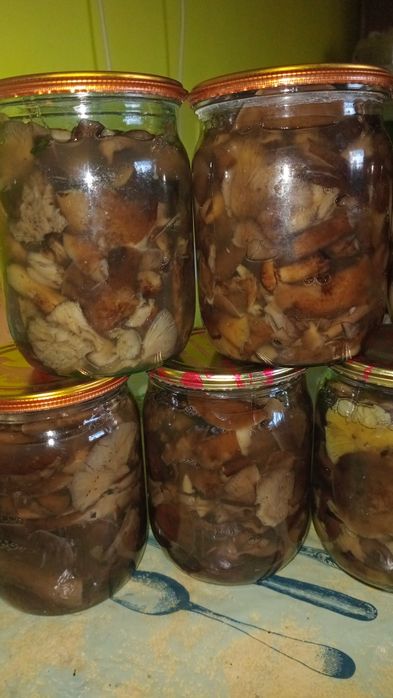 Опеньки мариновані 2025