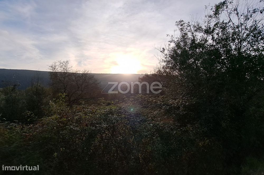 Conjunto de 3 Terrenos Urbanos em Mira de Aire