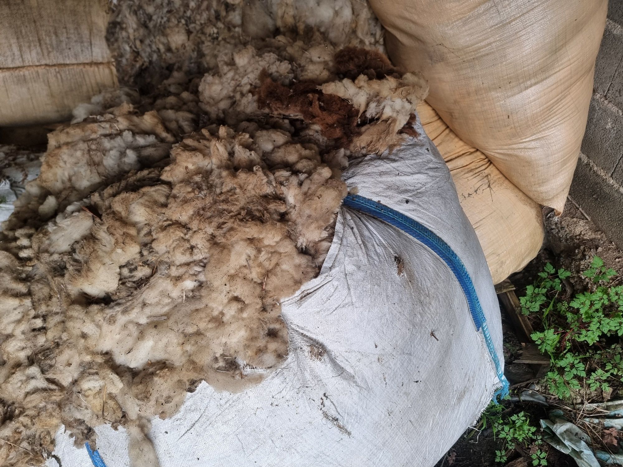 Sacos Big-Bag com lã de ovelha