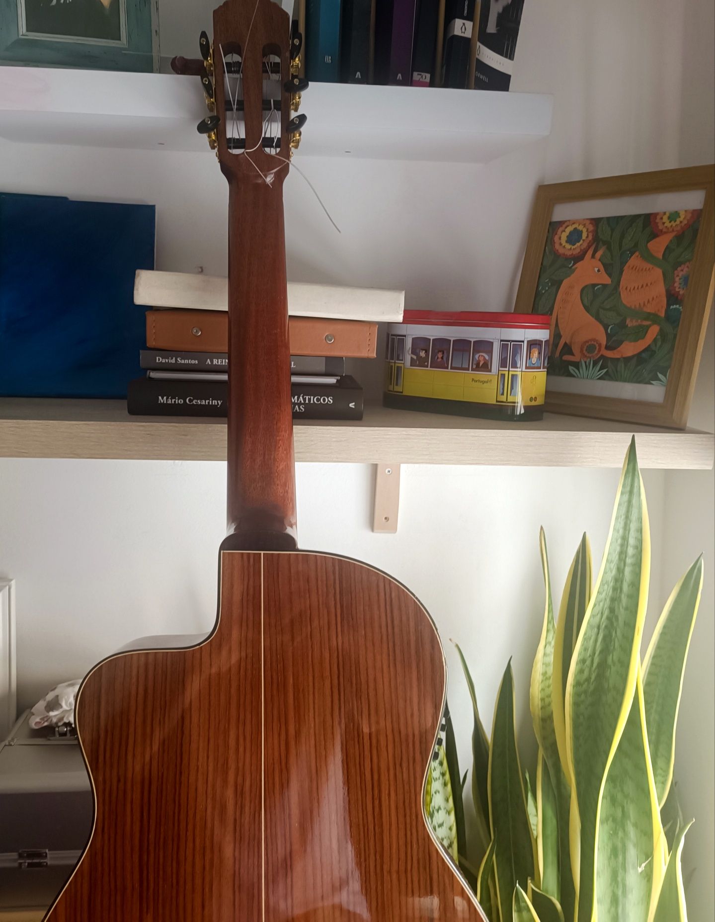 Apc 8 c cwe thinline
