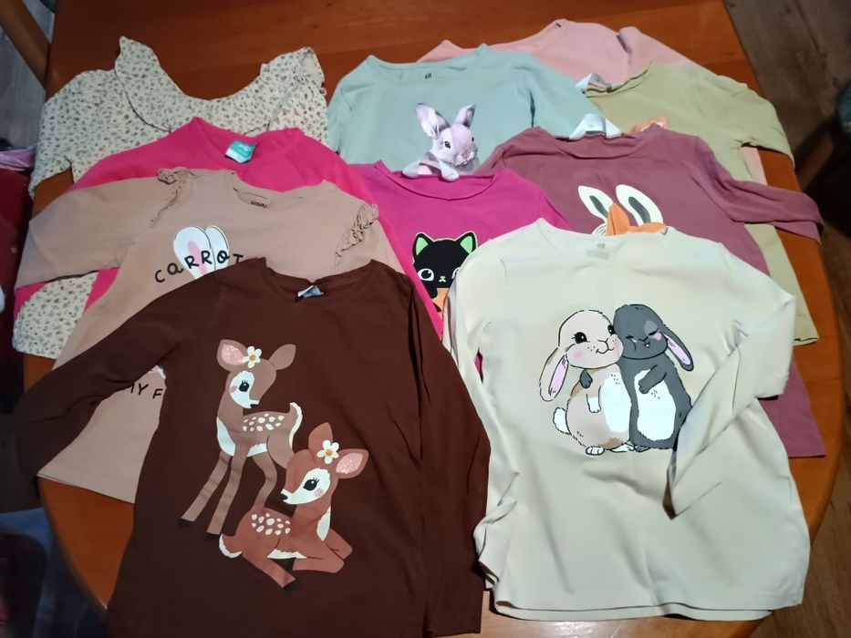 Paczka ubrań dla dziewczynki rozmiar 110