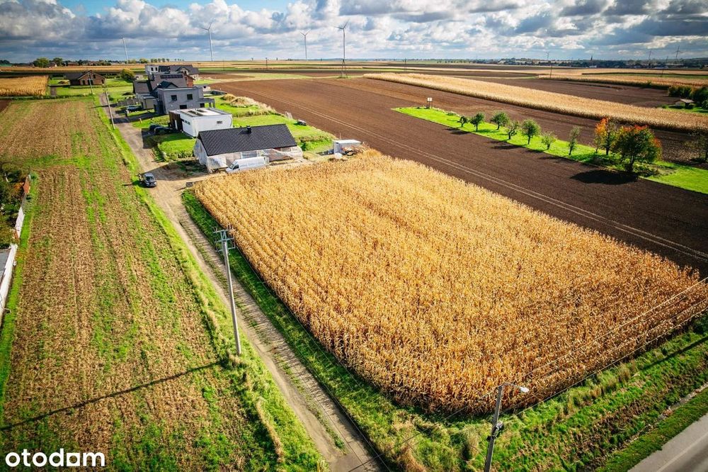 Kiedy szukasz ciszy, natury w  nowoczesnej zabudowie jednorodzinnej