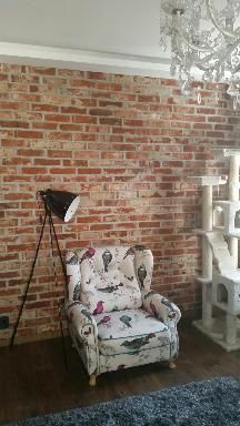 Czerwona płytka ceglana, płytki ceglane, lico, stara cegła