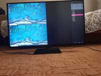 Profesjonalny Monitor LG 4K IPS 43call