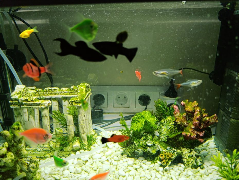 Продам новенький акваріум