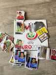 Panini Euro 2008
