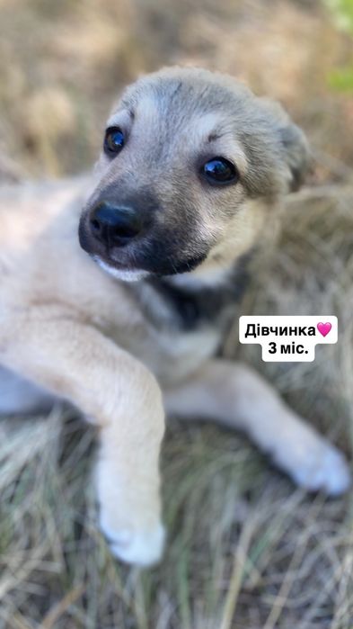 Девочка ищет заботливые ручки