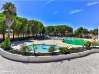 Quinta Resort para Venda em Castelo Branco