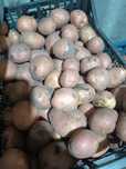 Продам    домашний   картофель