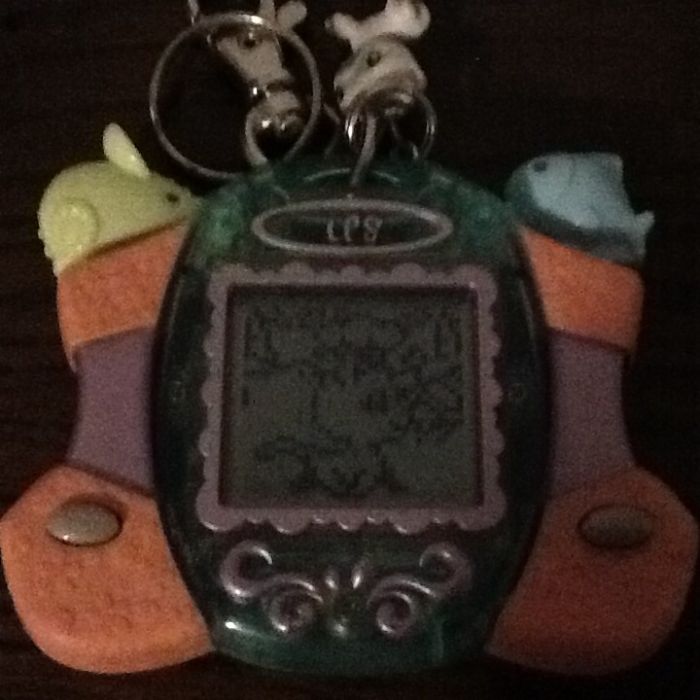 Tamagoshi - Hasbro, Year 2007 – Like New, Shipping Included64552027513475121