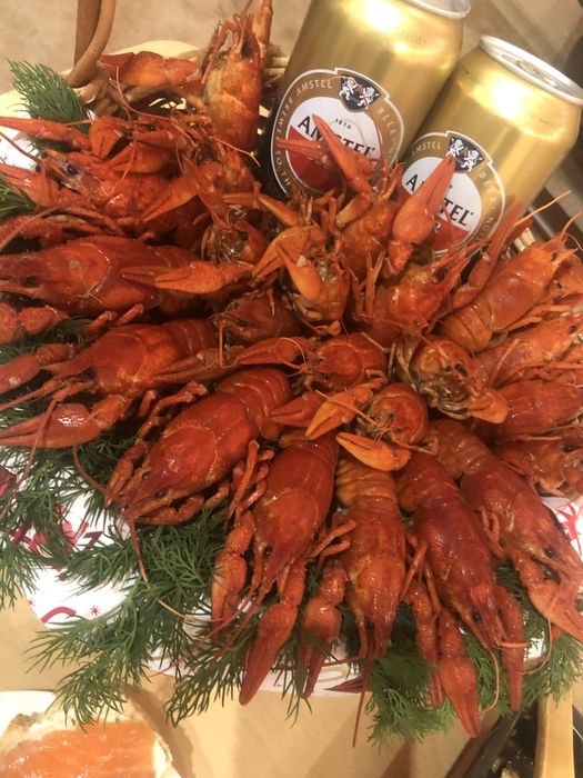 Продам живі річні раки