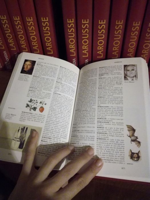 Toda a colecção- Enciclopédias Larousse - 22 livros - como novos