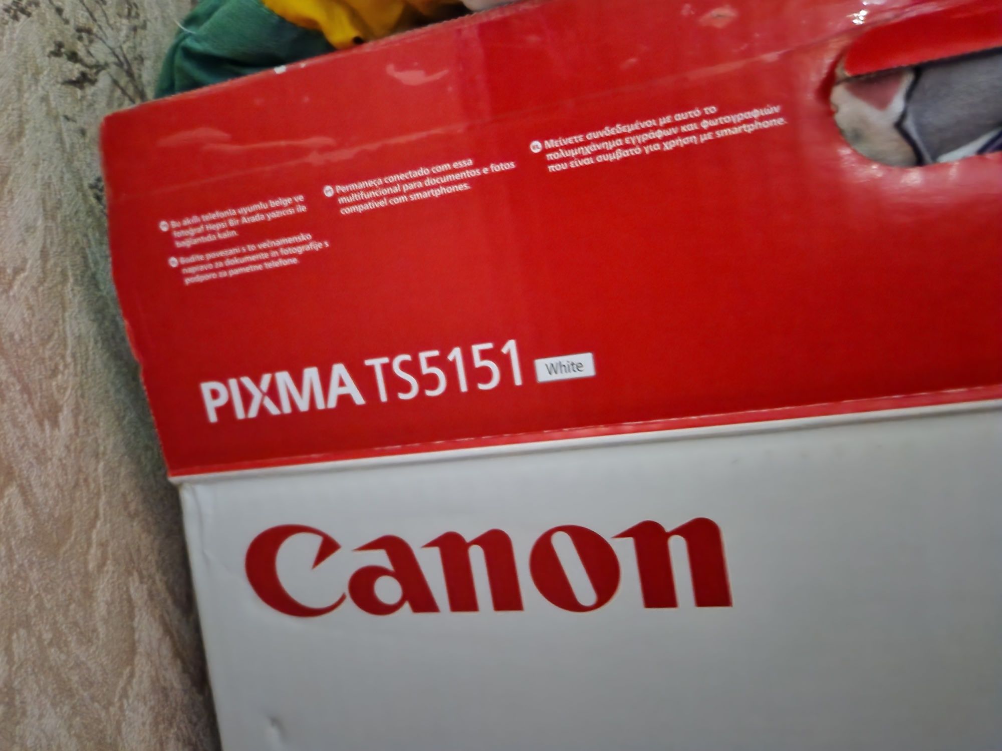 Принтер Canon pixma ts5151