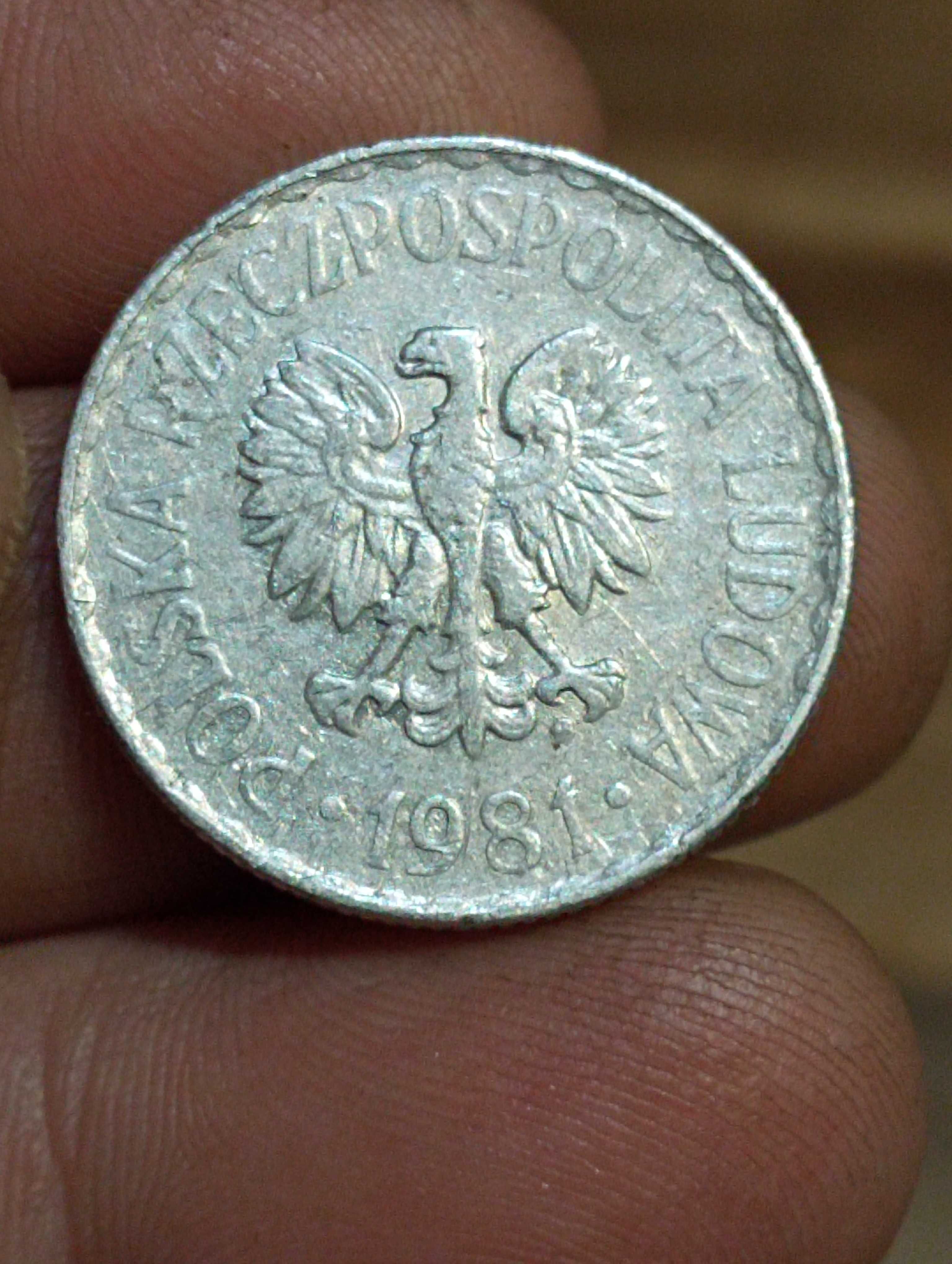 Sprzedam monete 1 zloty 1981 rok