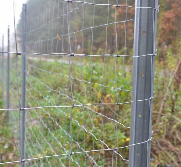 Siatka ogrodzeniowa metalowa leśna ogrodzenie leśne na zwierzęta 150cm